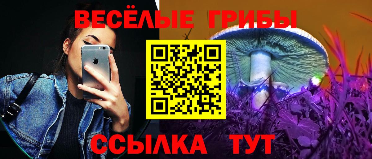 Касимов  Галлюциногенные грибы GOLDEN TEACHER  Вход с VPN 